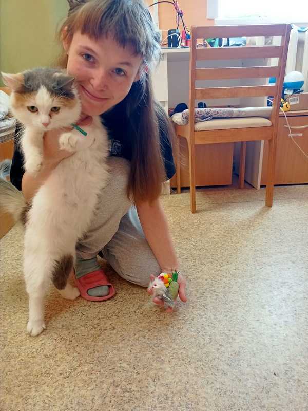 Домашние животные -верные друзья и помощники