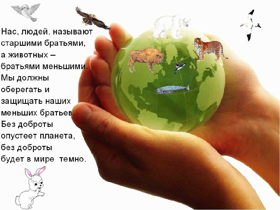 26 октября получатели социальных услуг нашего Дома-интерната участвовали в интеллектуально-игровой программе «Наши братья по планете». 