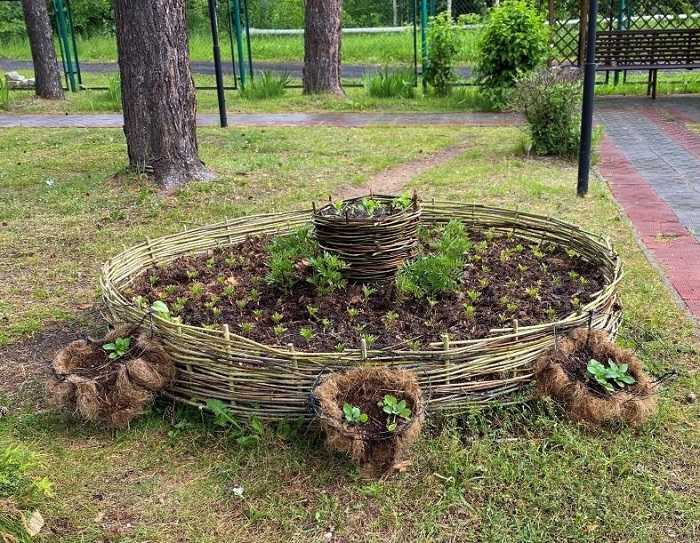 Новые клумбы