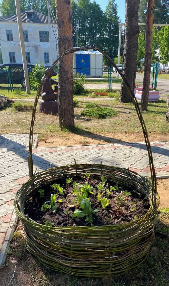 новая плетеная цветочная клумба