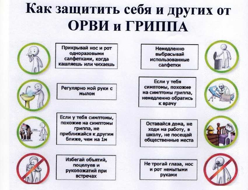 Профилактика гриппа и простудных заболеваний